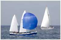 Hanse Sail 2021