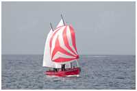 Hanse Sail 2021