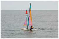 Hobie Cat