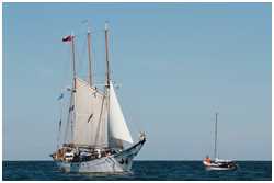 Hanse Sail 2015