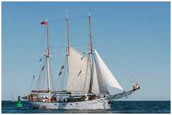 Hanse Sail 2015