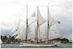Hanse Sail 2005
