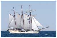 Dreimast-Marssegelschoner Mare Frisium