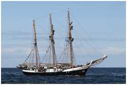 Hanse Sail 2017