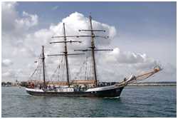 Hanse Sail 2019