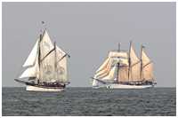 Hanse Sail 2006