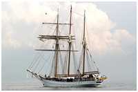 Hanse Sail 2006