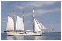 Dreimast-Marssegelschoner Mare Frisium