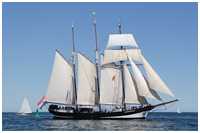 Hanse Sail 2015