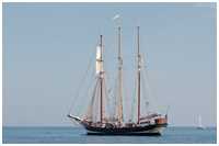 Hanse Sail 2015
