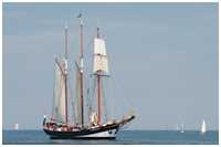 Hanse Sail 2015