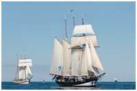 Hanse Sail 2015