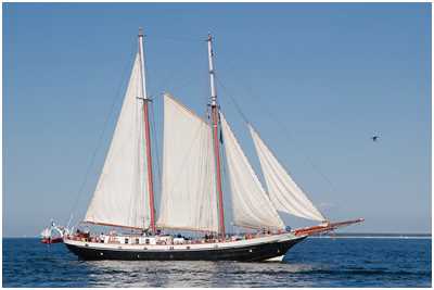 Gaffelschoner Amazone