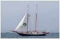 Hanse Sail 2019