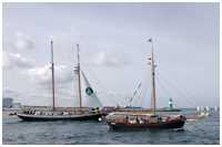 29. Hanse Sail Rostock vom 8.-11. August 2019