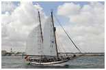 Hanse Sail 2006