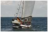 Hanse Sail 2006