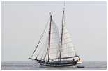 Hanse Sail 2006