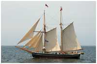 Hanse Sail 2009