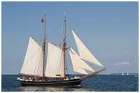 Hanse Sail 2014