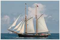 Hanse Sail 2014