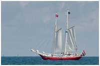 Hanse Sail 2014