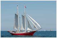 Hanse Sail 2014