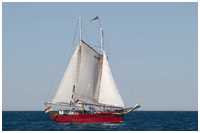 Brixham-Trawler Ethel von Brixham