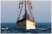 Hanse Sail 2007