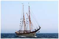Hanse Sail 2007