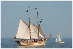 Hanse Sail 2009