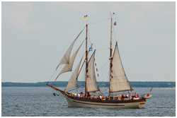 Hanse Sail 2009