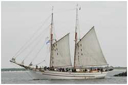 15. Hanse Sail Rostock vom 11.-14. August 2005