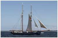 Hanse Sail 2017