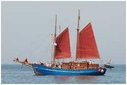 Hanse Sail 2008
