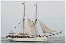 Hanse Sail 2005