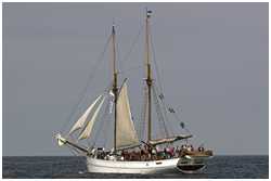 Hanse Sail 2006