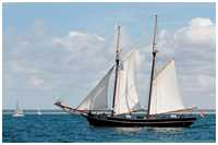 Hanse Sail 2013