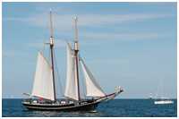 Hanse Sail 2013