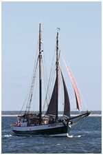 27. Hanse Sail Rostock vom 10.-13. August 2017