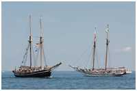 Hanse Sail 2015
