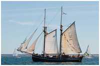 Hanse Sail 2015