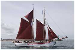 Hanse Sail 2019