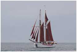 Hanse Sail 2019