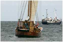 Hanse Sail 2005