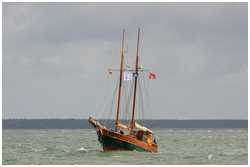 Hanse Sail 2008