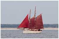 Hanse Sail 2019