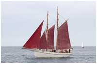 Hanse Sail 2019