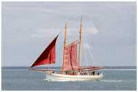 Hanse Sail 2019