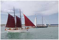 Hanse Sail 2024